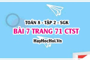 Bài 7 trang 71 Toán 8 Tập 2 Chân trời sáng tạo